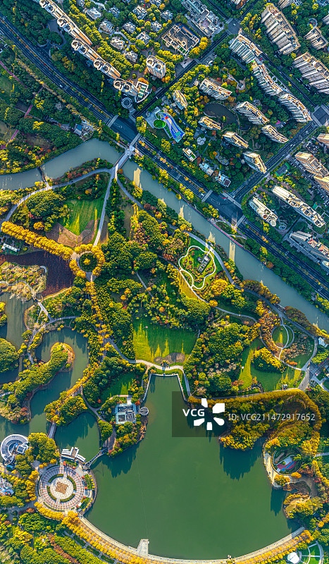 上海浦东世纪公园金秋风光 垂直俯拍花木社区地形图 镜天湖 人民城市 人居环境 中央公园 美拉德色系图片素材
