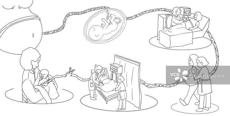 孕育过程绘本插画图片素材