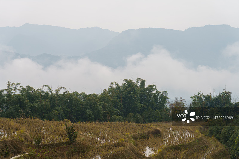 四川省泸州市叙永县画稿溪国家级自然保护区风景图片素材