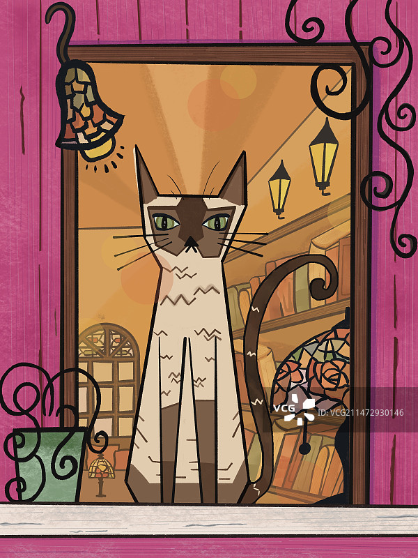 咖啡馆的猫图片素材