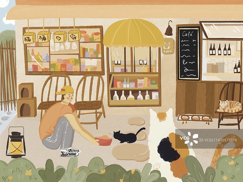 流浪猫之家图片素材