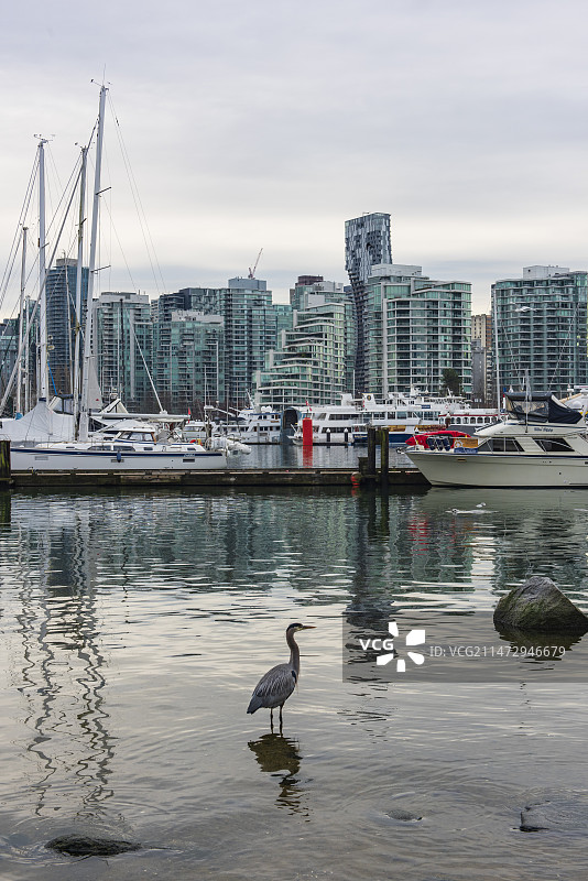 宁静和谐的海湾图片素材