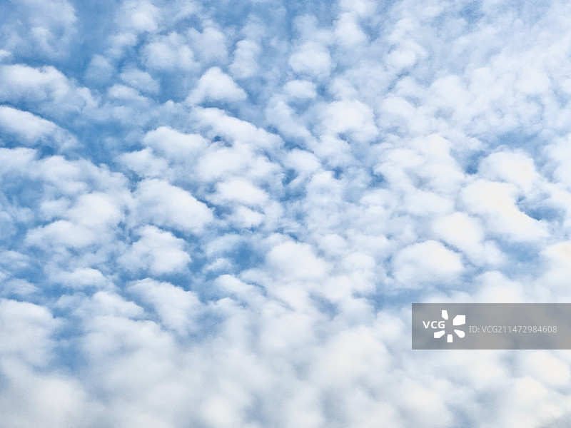 蓝天白云背景图鱼鳞云图片素材