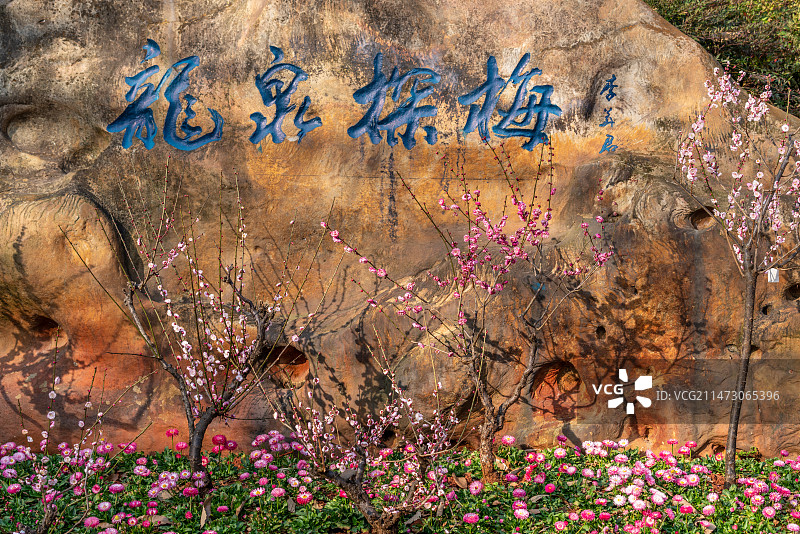 云南昆明黑龙潭公园冬日龙泉探梅石刻图片素材