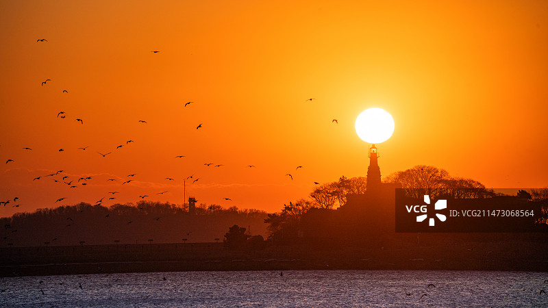 小青岛日出图片素材