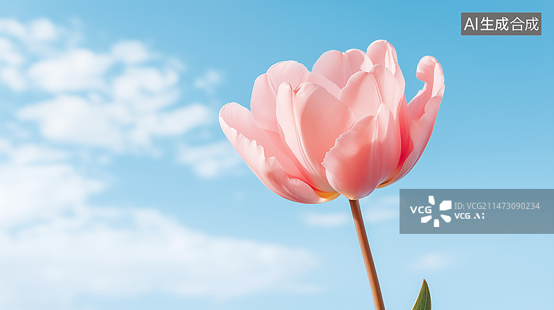【AI数字艺术】春天背景图，花，郁金香，背景图，春天图片素材