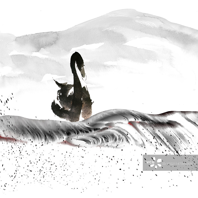 雪中的天鹅图片素材