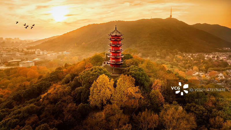 此中有真意，欲辨已忘言图片素材