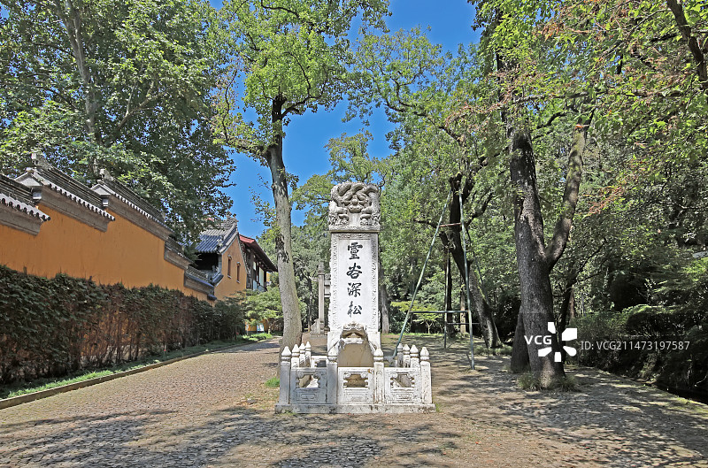 南京灵谷风景区灵谷深松图片素材