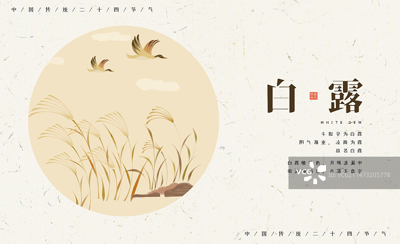 二十四节气之白露-手绘清新秋天芦苇大雁插画图片素材