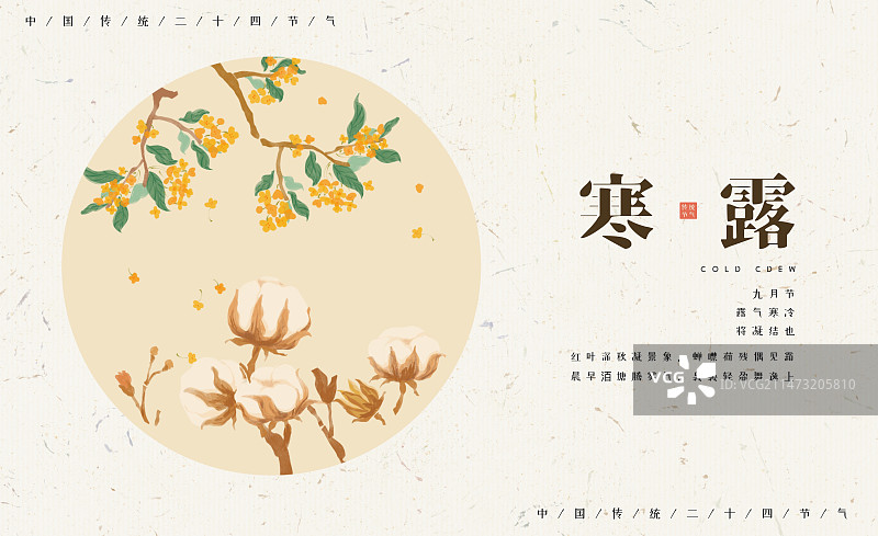 二十四节气之寒露-手绘清新秋天桂花成熟的棉花图片素材