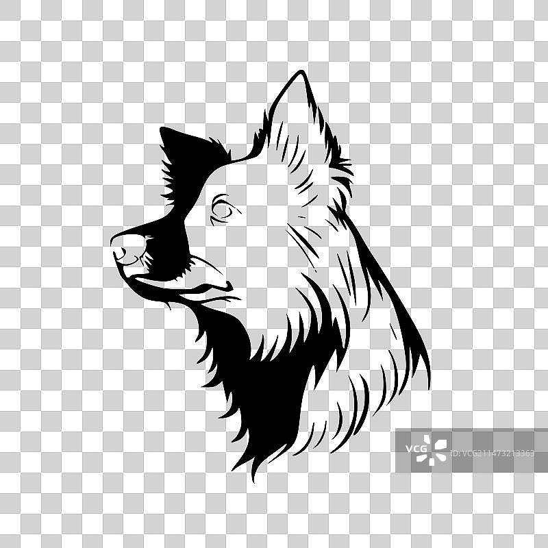 简约的边境牧羊犬剪影图片素材