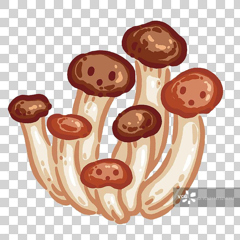 Q版蔬菜——茶树菇图片素材