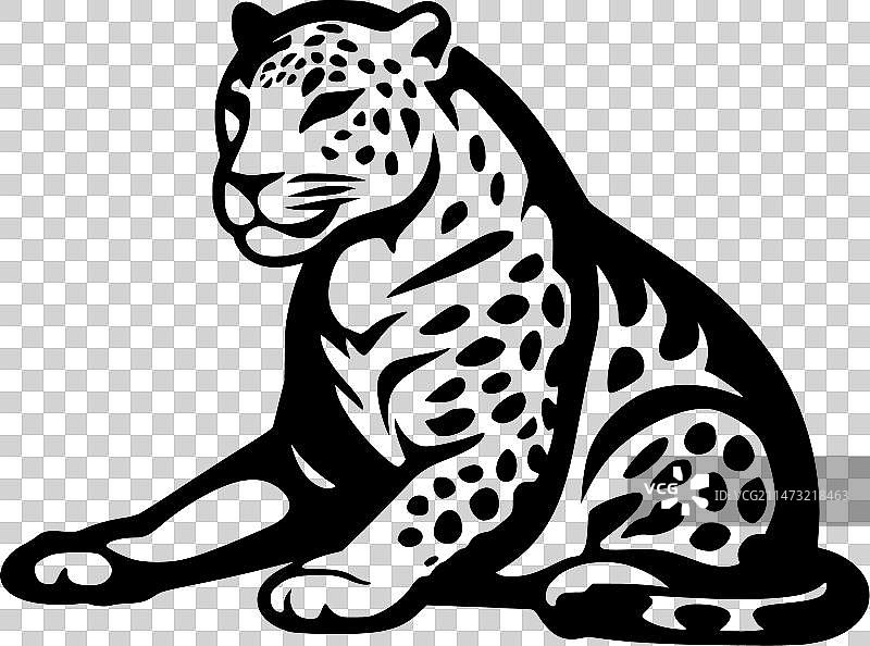 豹-高品质的标志-理想的t恤图片素材