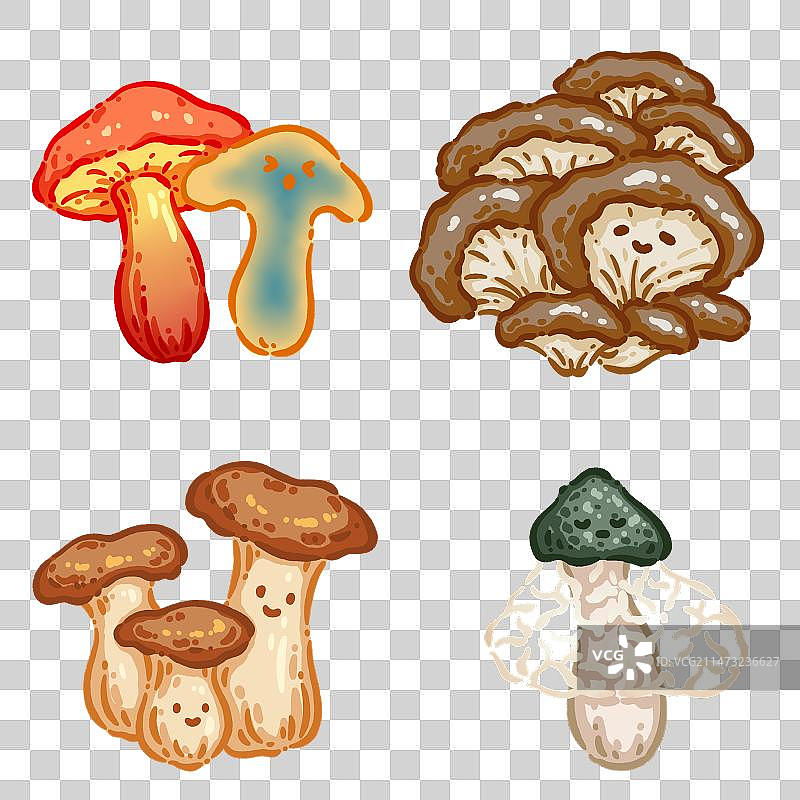 Q版蔬菜——见手青，平菇，杏鲍菇，竹荪图片素材