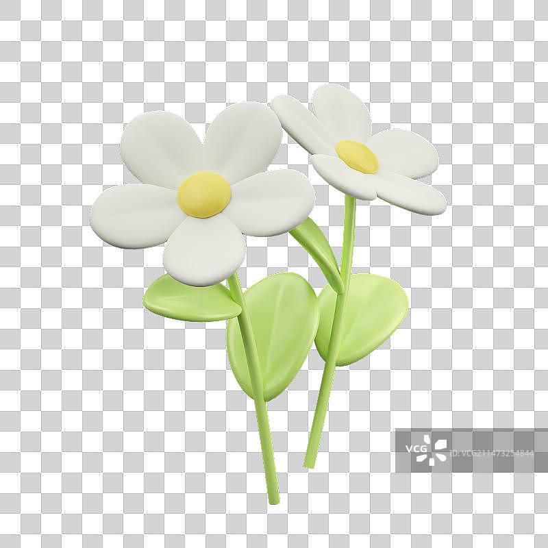 春日盛开的花朵图片素材