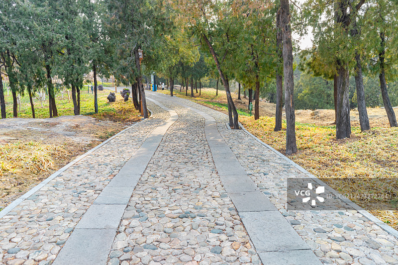 中国山东省泰安市泰山区虎山公园，蜿蜒的鹅卵石铺路石步行道路，户外白昼无人图像摄影图片素材