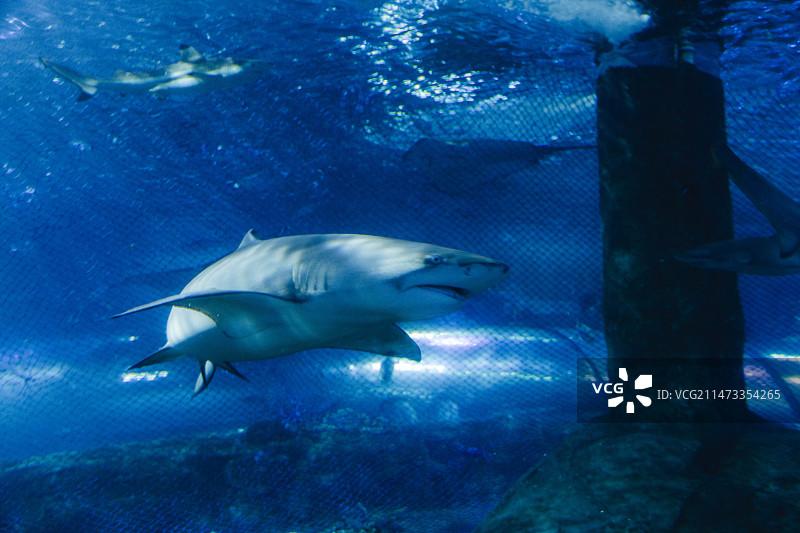 海底两万里图片素材