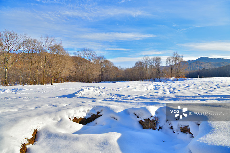 北国雪野（拍摄于黑龙江省哈尔滨市尚志市）图片素材