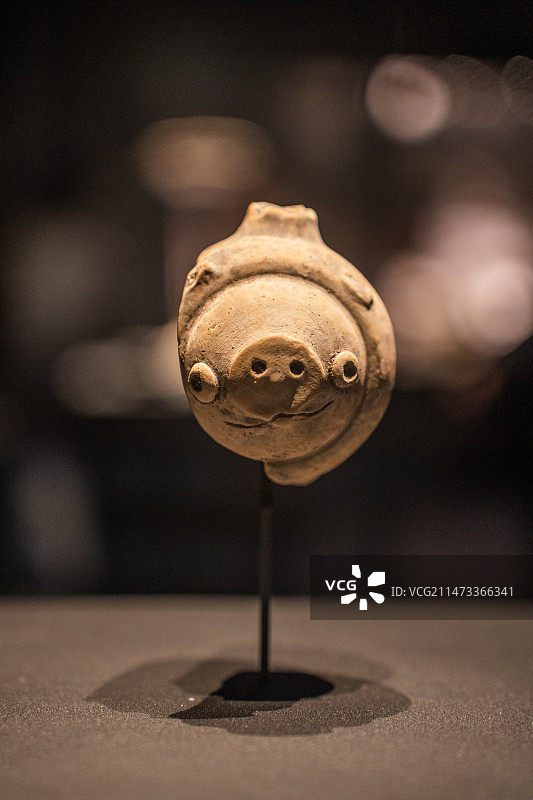 四川德阳广汉三星堆博物馆商代陶猪图片素材