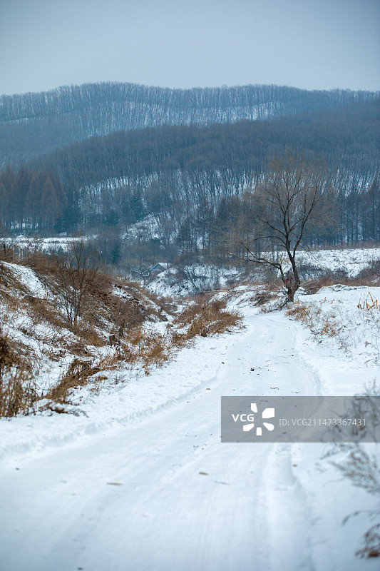 山村里蜿蜒的雪地路面图片素材