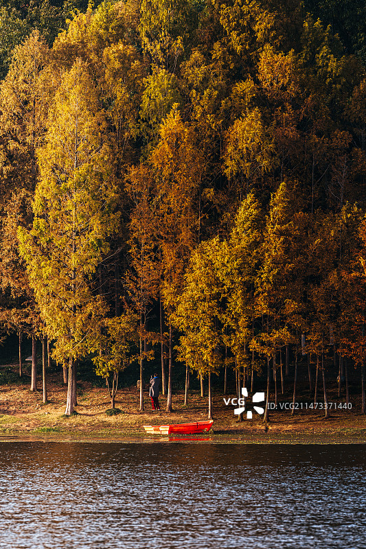 中山陵琵琶湖图片素材