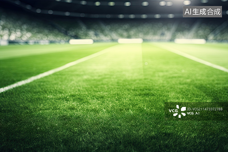 【AI数字艺术】体育场的草坪图片素材