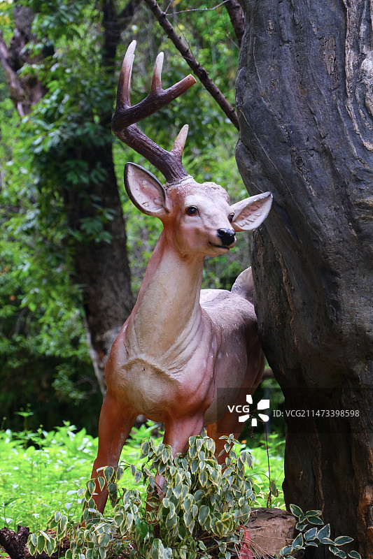 昆明植物园 小松鼠图片素材