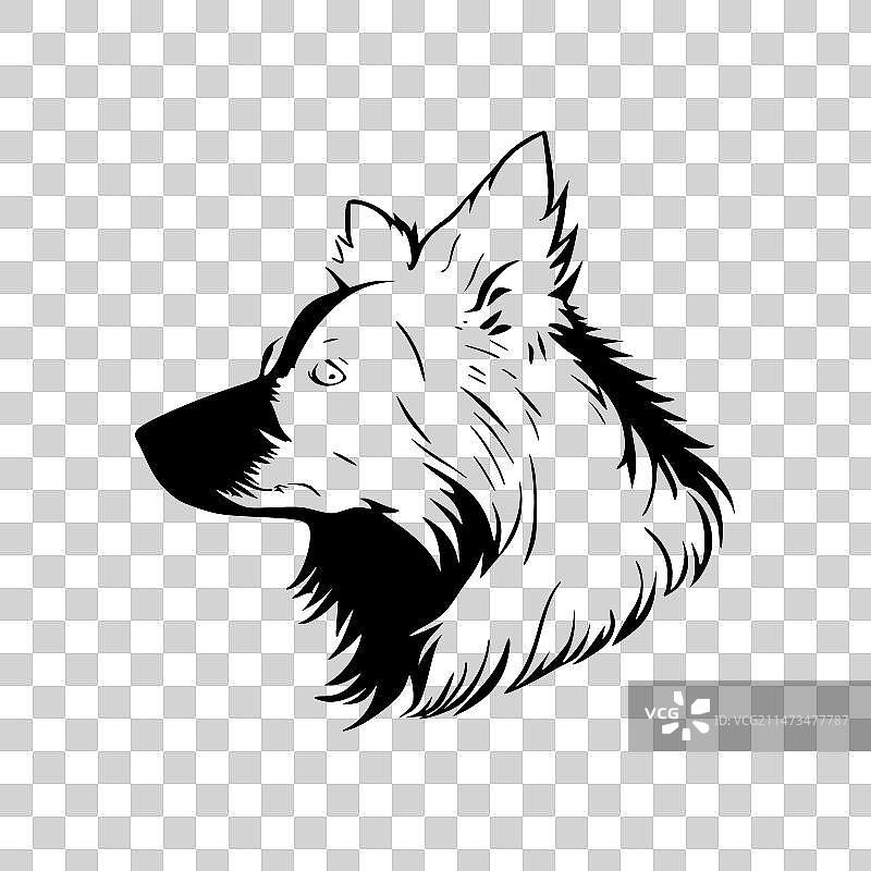 简约的边境牧羊犬剪影图片素材