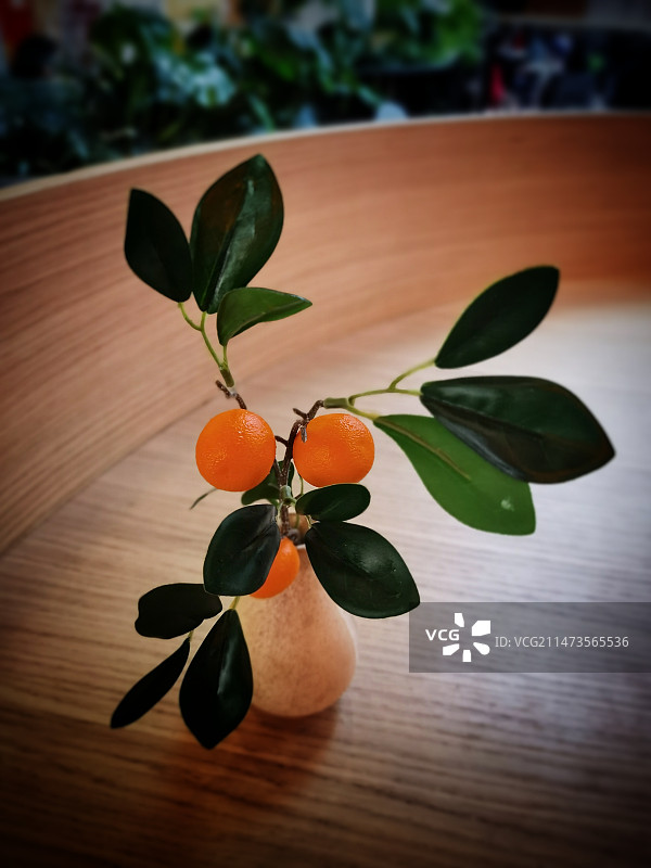 橘子熟了！图片素材