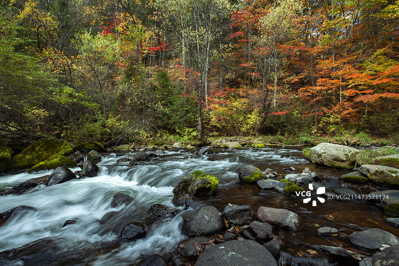 吉林省长白朝鲜族自治县望天鹅风景区的秋色图片素材