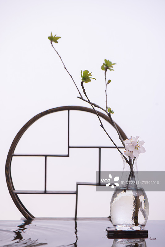 樱花 插花图片素材