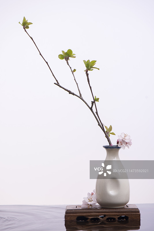 樱花 插花图片素材