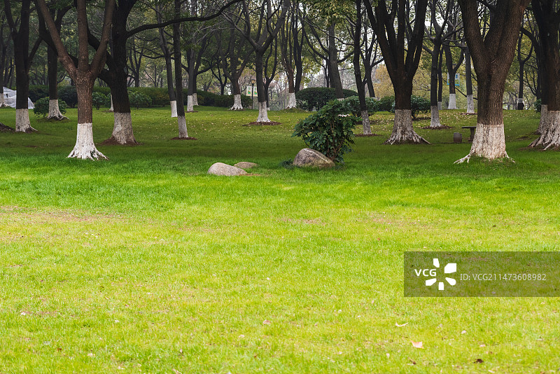 汤湖公园一角 草坪图片素材