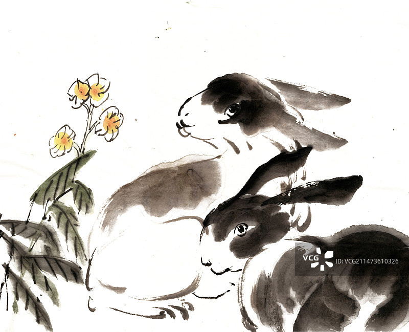花卉与兔子图片素材