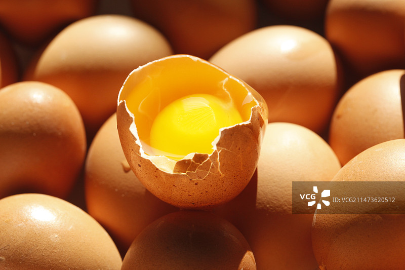 光影中破壳鸡蛋里的蛋黄和蛋清图片素材