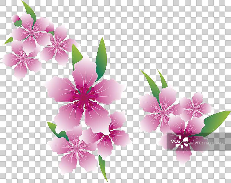 矢量图 春天 桃花边角  梅花 樱花 边角图片素材