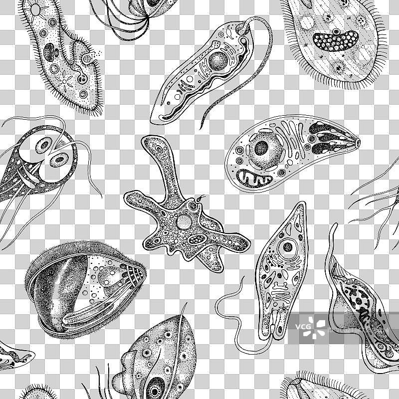 原生动物单色无缝图案图片素材