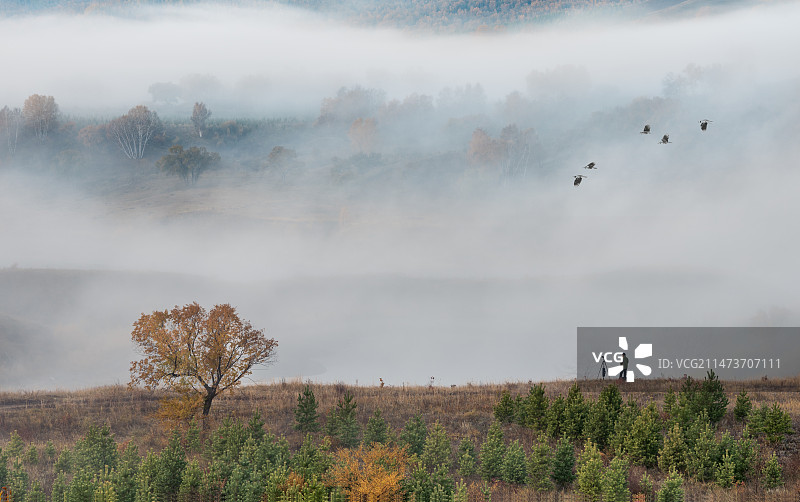 坝上蛤蟆坝晨雾图片素材