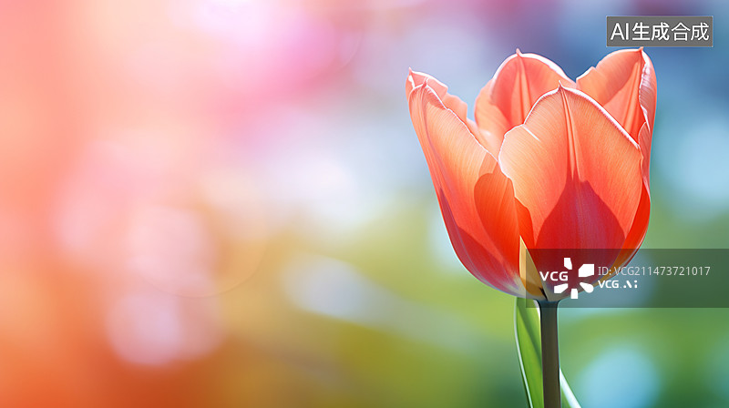 【AI数字艺术】美丽的郁金香花束和散景背景，感恩节母亲节概念插图图片素材