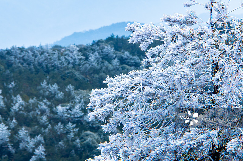 泉州德化九仙山雾凇图片素材