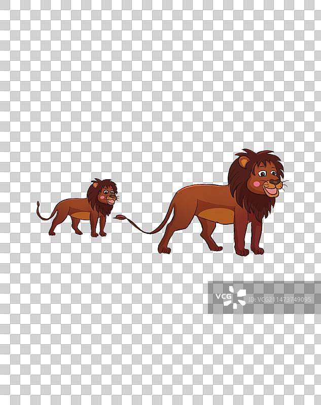 狮子素材图片素材