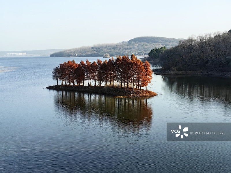 淮安天泉湖红杉林图片素材