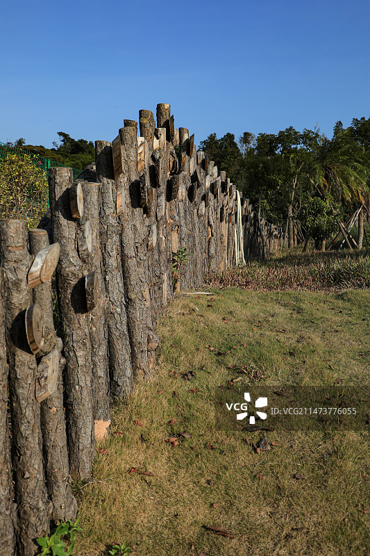海滨公园图片素材