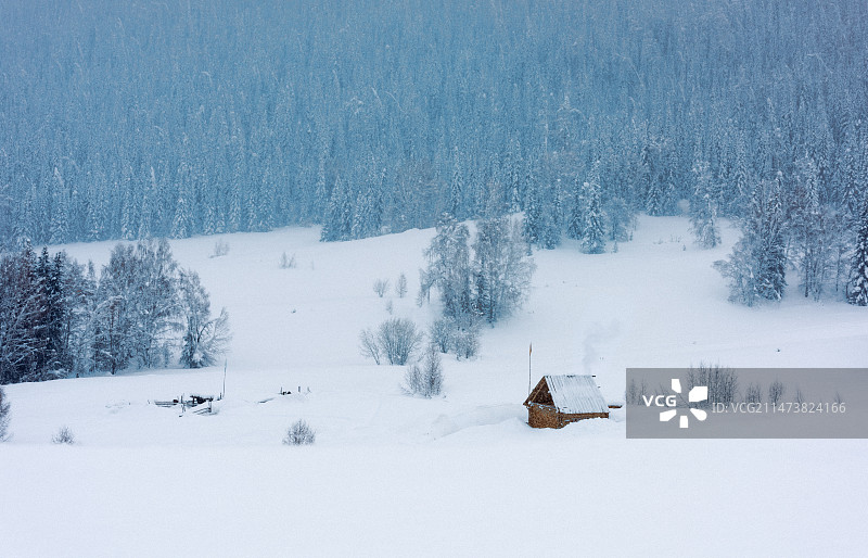 雪中即景图片素材