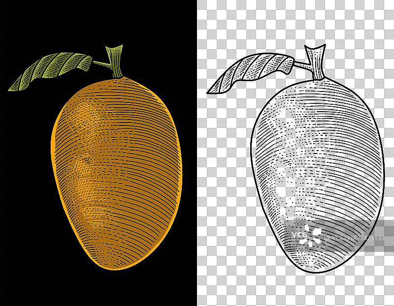 雕刻风格芒果图片素材