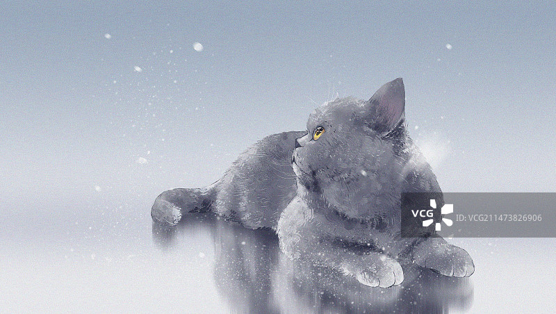 插画一只灰色猫咪图片素材