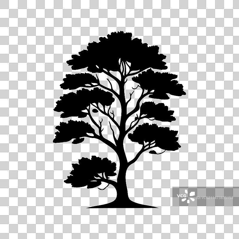 欧洲山毛榉手绘黑色树木图标图片素材