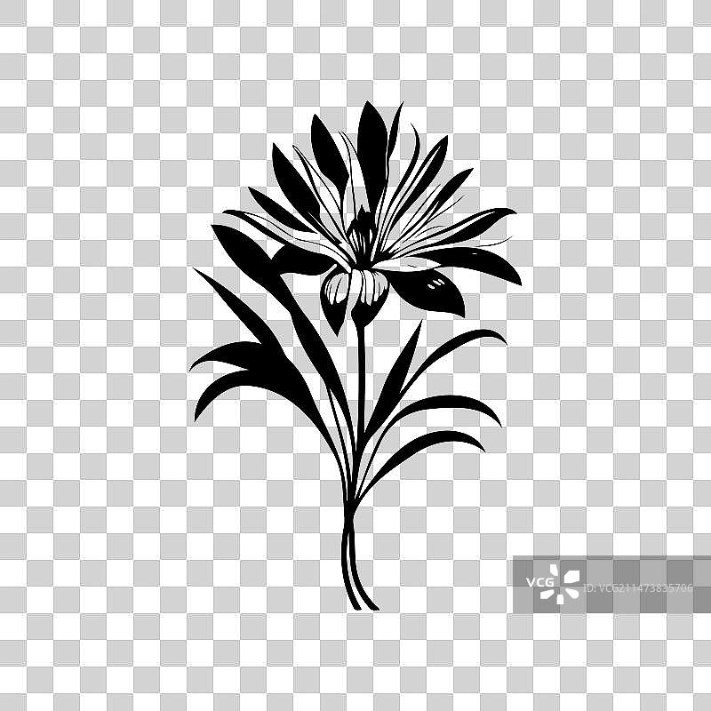 非洲百合图标手绘黑色植物标志图片素材