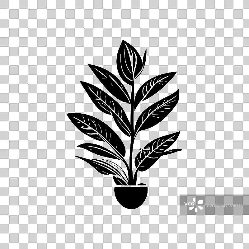 手绘万年青图标黑色植物Logo符号图片素材